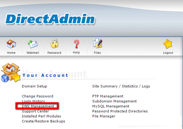 1588173562 Dns Management In Direct Admin